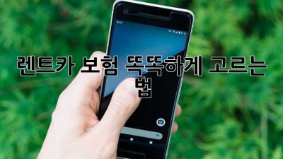 🚗 렌트카 보험, 똑똑하게 고르는 법! 😎