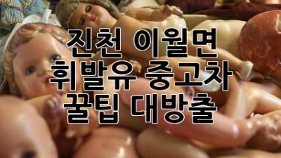 진천 이월면 휘발유 중고차, 꿀팁 대방출! 🚗💨
